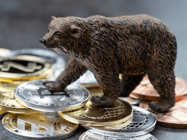 What Is Crypto Bear Meaning ? Let's Discuss Cryptocurrency Slang