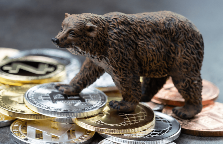 What Is Crypto Bear Meaning ? Let's Discuss Cryptocurrency Slang