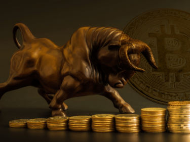 Crypto Bull Run