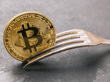What Is Fork In The Crypto