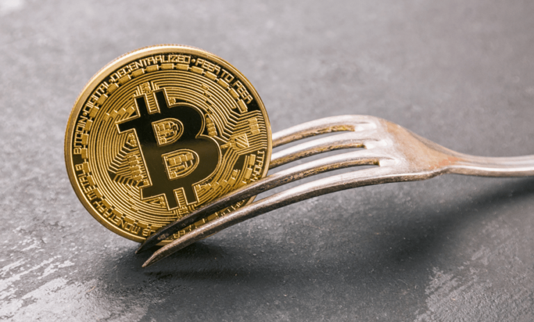 What Is Fork In The Crypto