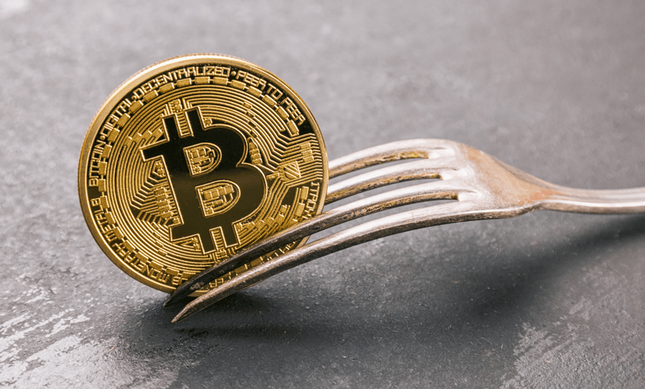fork crypto