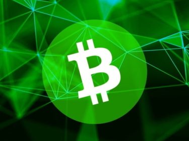 Bitcoin Cash