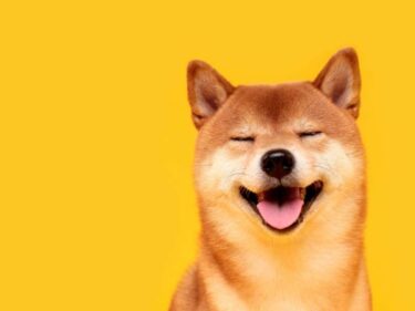 All The Main Differences Between Dogecoin and Shiba Inu