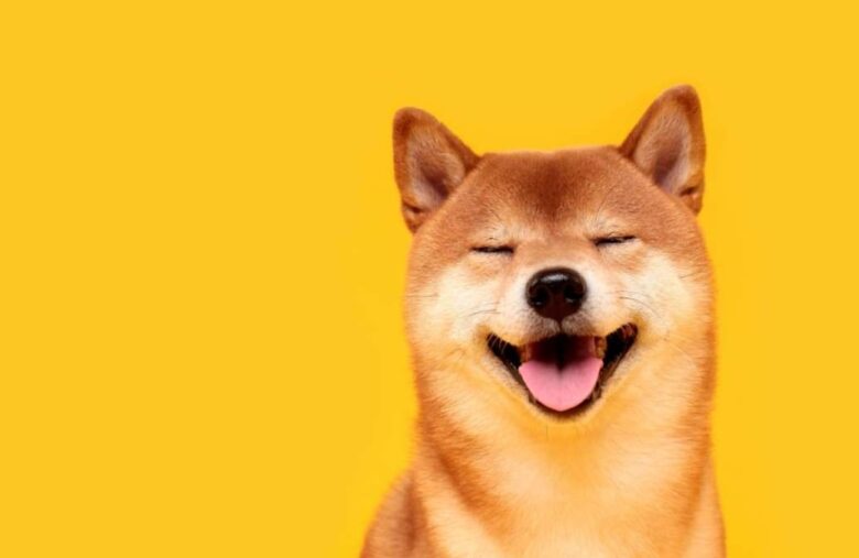 All The Main Differences Between Dogecoin and Shiba Inu
